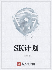 SK计划